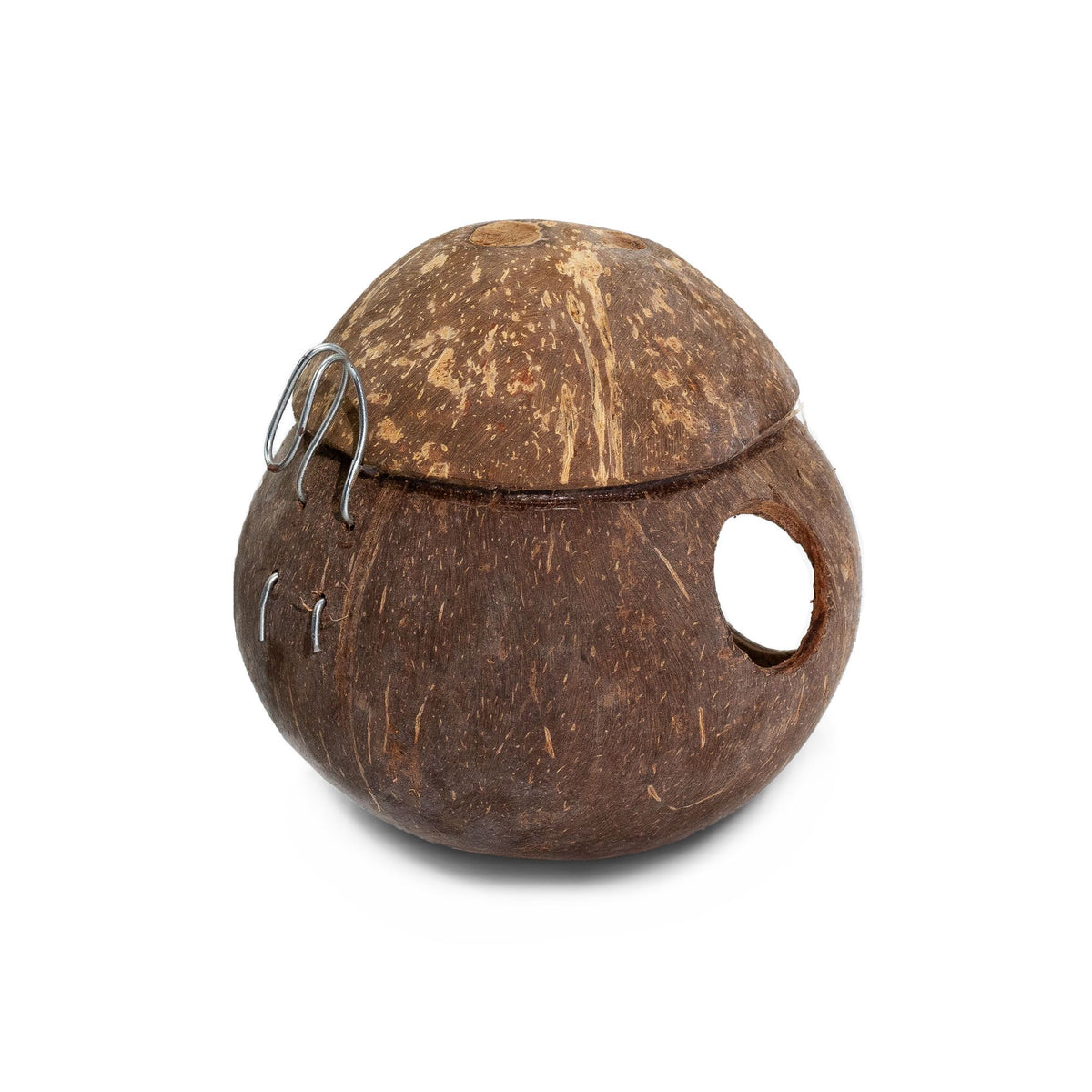 Natural Coconut Bird House - with hook - 13cm
