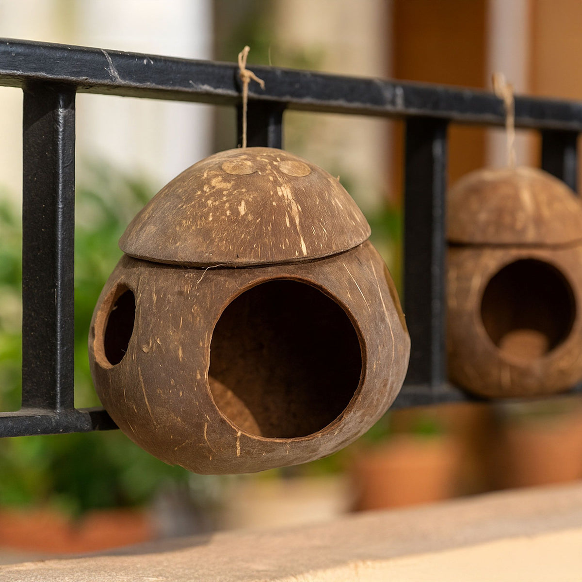 Natural Coconut Bird House - with hook - 13cm